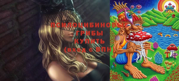 амф Протвино