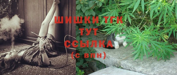 ПСИЛОЦИБИНОВЫЕ ГРИБЫ Ивангород