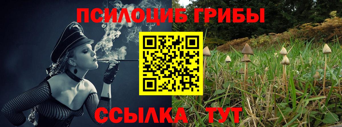 Псилоцибиновые грибы Magic Shrooms Усолье-Сибирское